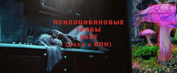 ALPHA PVP Новозыбков