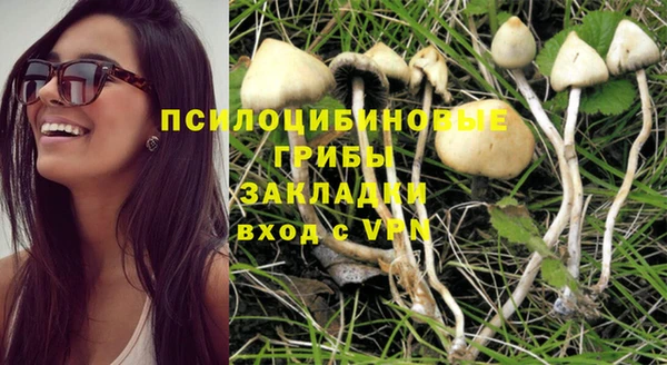 ALPHA PVP Новозыбков
