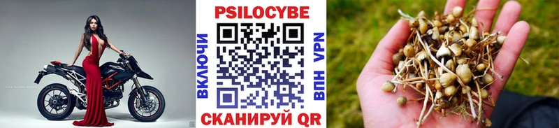 Галлюциногенные грибы Psilocybine cubensis  Бодайбо 